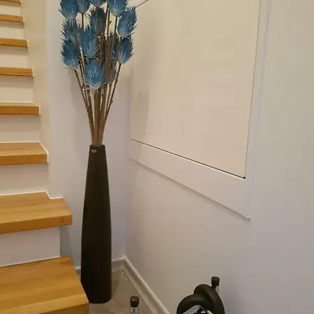 Апартаменты Sea In The Center